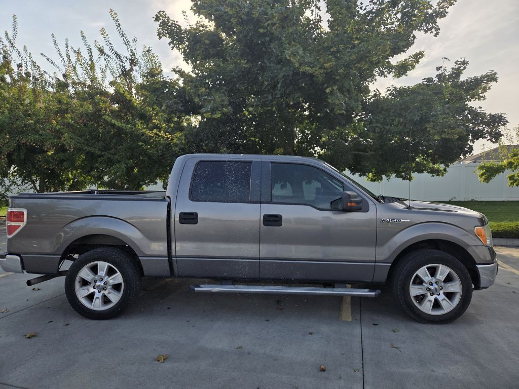 2010 Ford F-150 Image 3