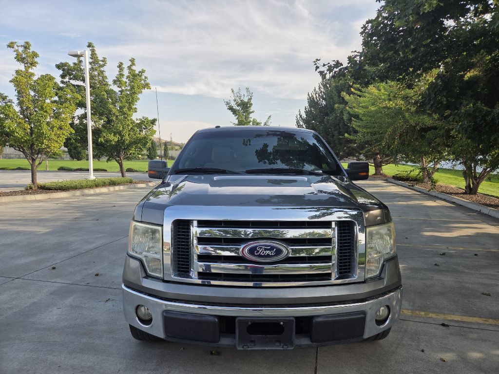 2010 Ford F-150 Image 4