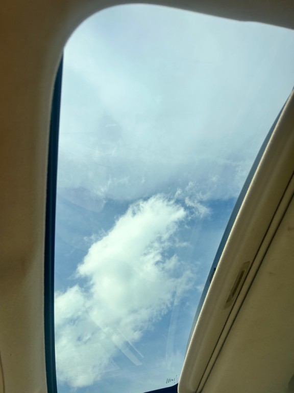 2013 Toyota Venza Image 21