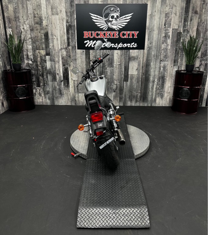 2018 Suzuki Ls650 Image 4
