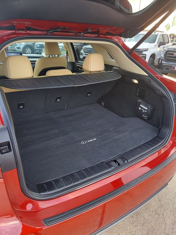 2021 Lexus RX Image 19
