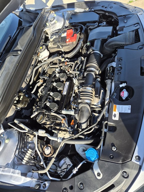 2020 Honda Accord Image 17