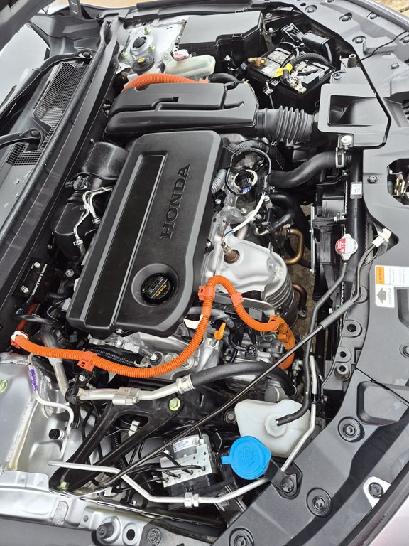 2024 Honda Accord Image 18