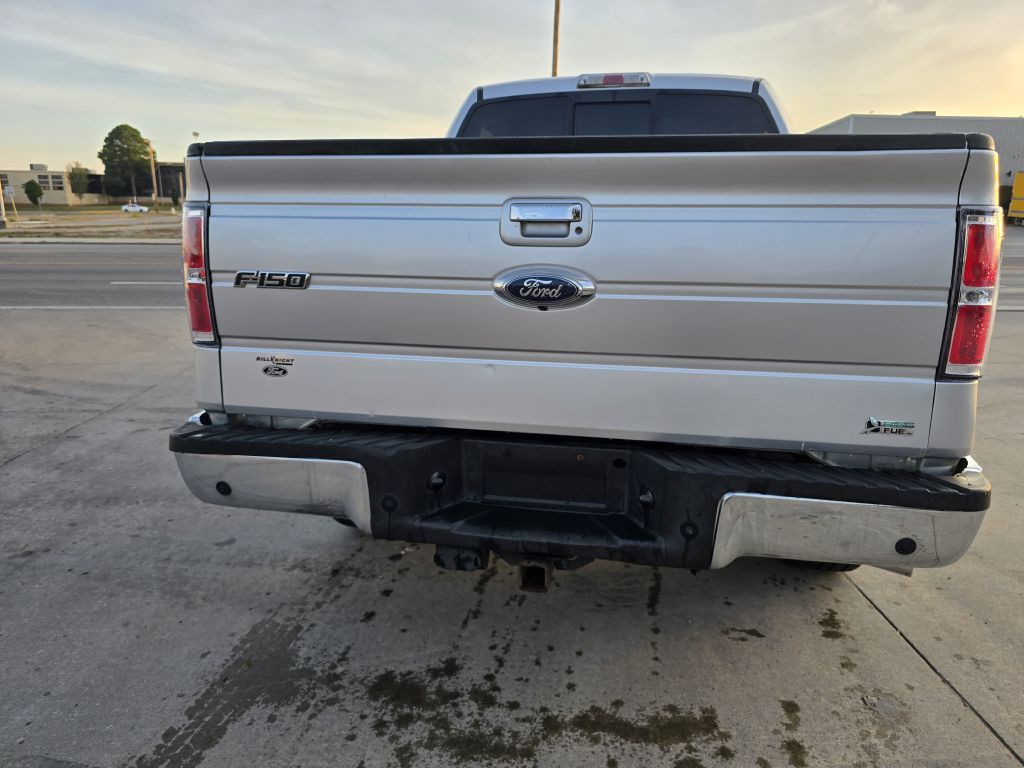 2010 Ford F-150 Image 4