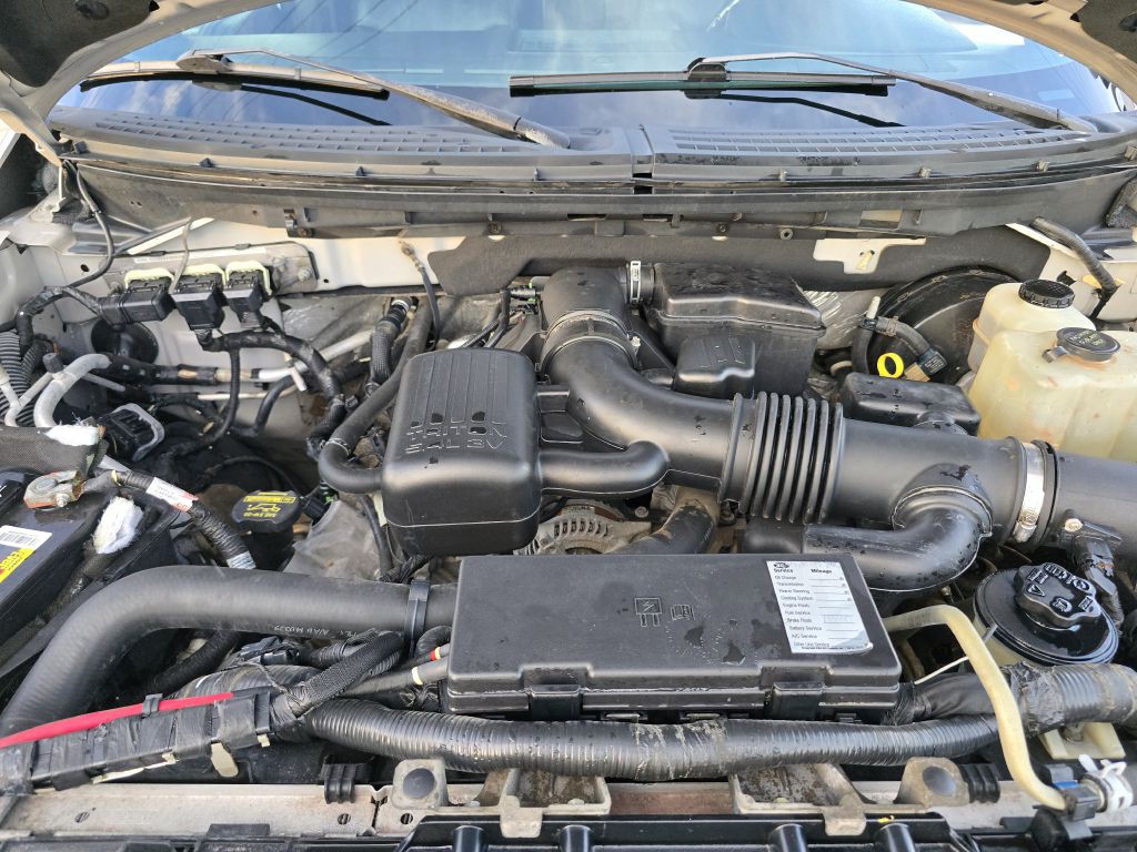 2010 Ford F-150 Image 51