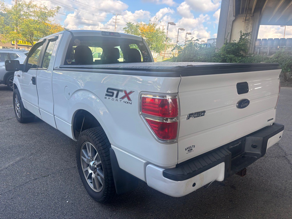 2014 Ford F-150 Image 3