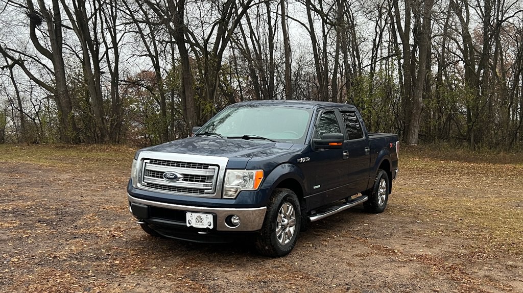2014 Ford F-150 Image 7