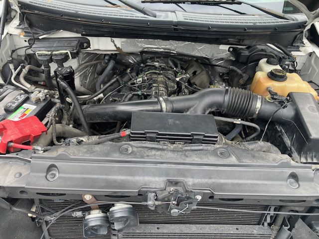2013 Ford F-150 Image 8