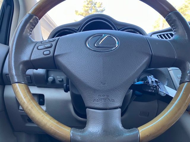 2009 Lexus RX Image 19