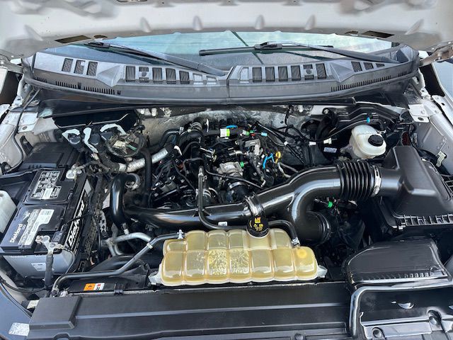 2019 Ford F-150 Image 10