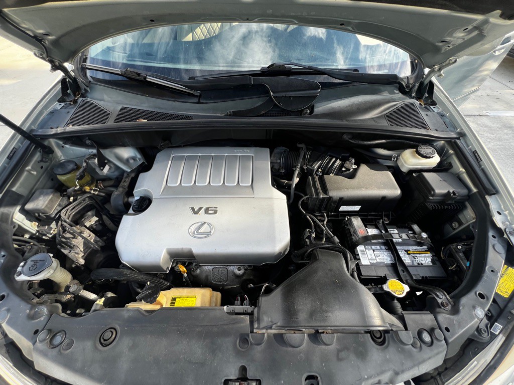 2007 Lexus RX Image 19
