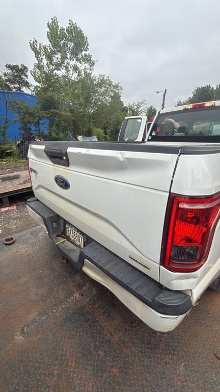 2016 Ford F-150 Image 3