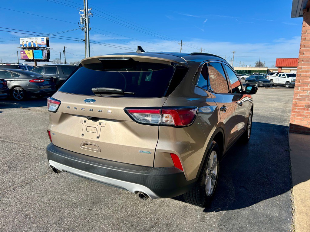 2020 Ford Escape Image 3