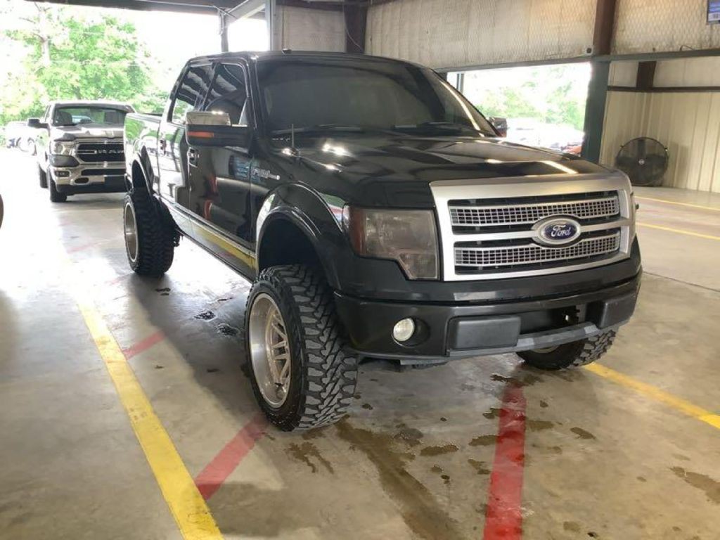 2010 Ford F-150 Image 2
