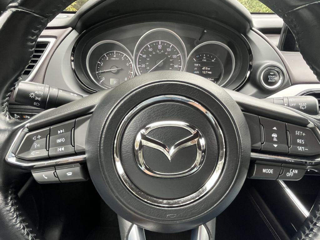 2017 Mazda CX-9 Image 30