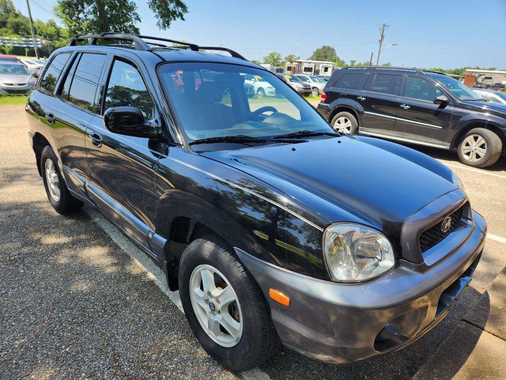 2004 Hyundai Santa Fe Image 2