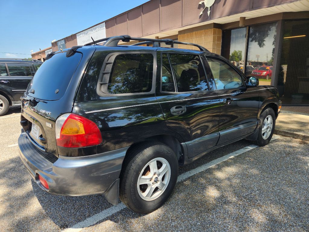 2004 Hyundai Santa Fe Image 3