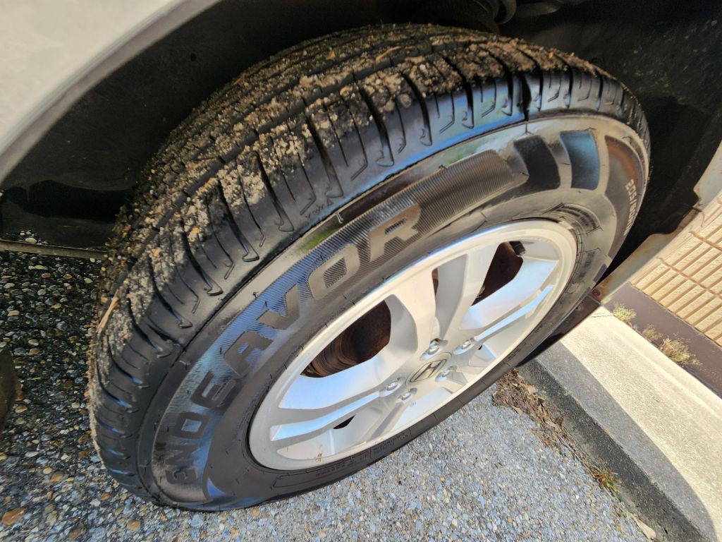 2006 Honda Accord Image 12