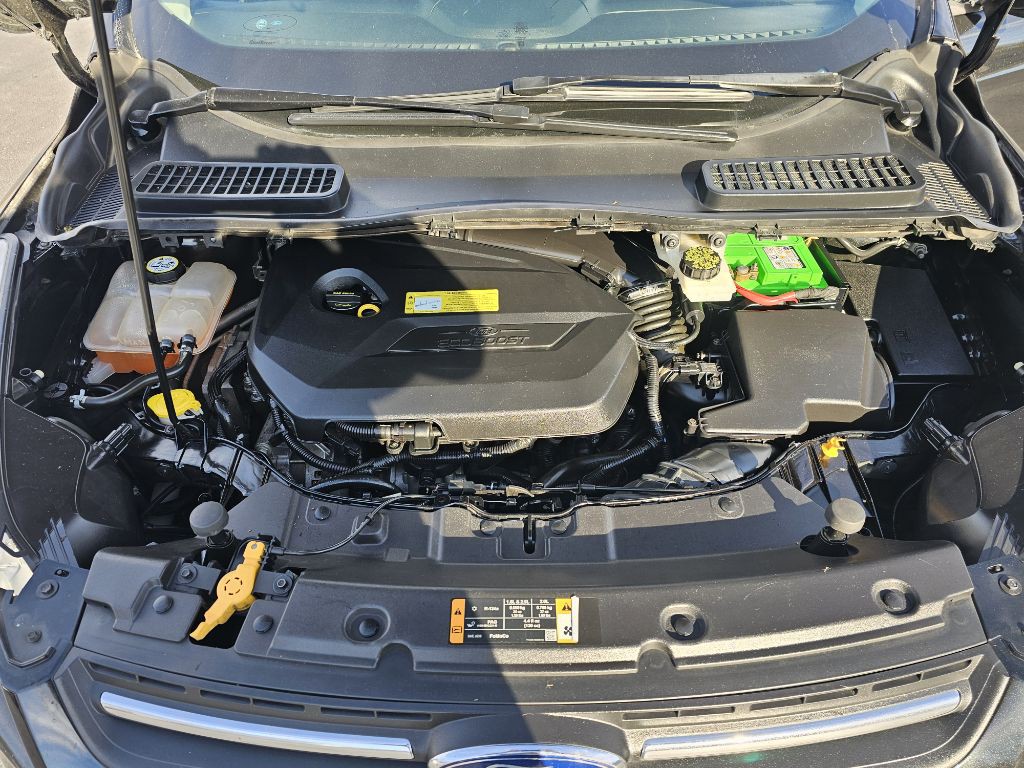 2013 Ford Escape Image 11