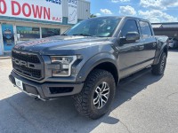 Image for 2018 Ford F-150 Raptor ID: 6639652