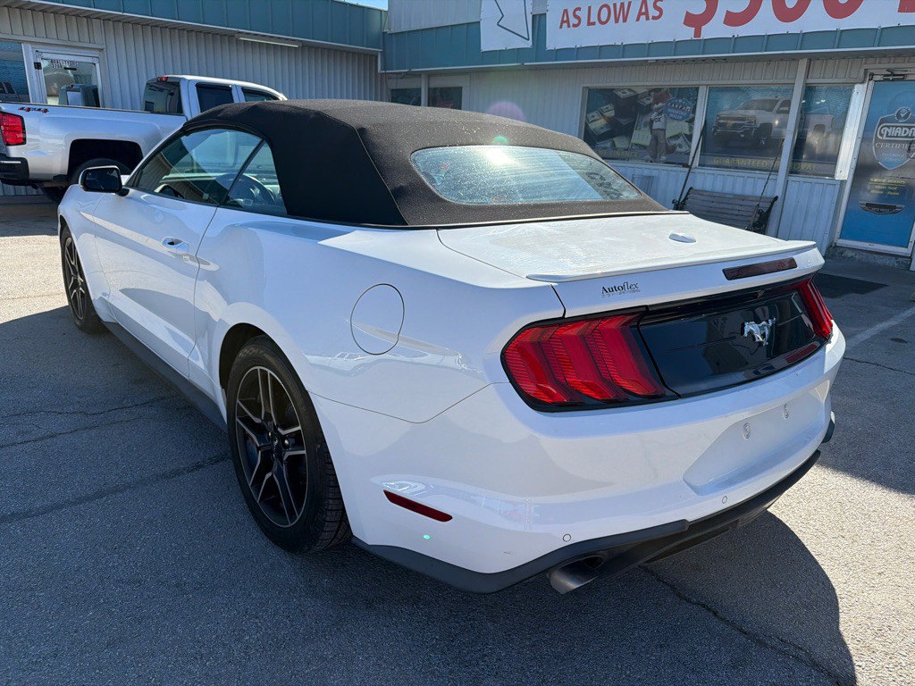 2020 Ford Mustang Image 3