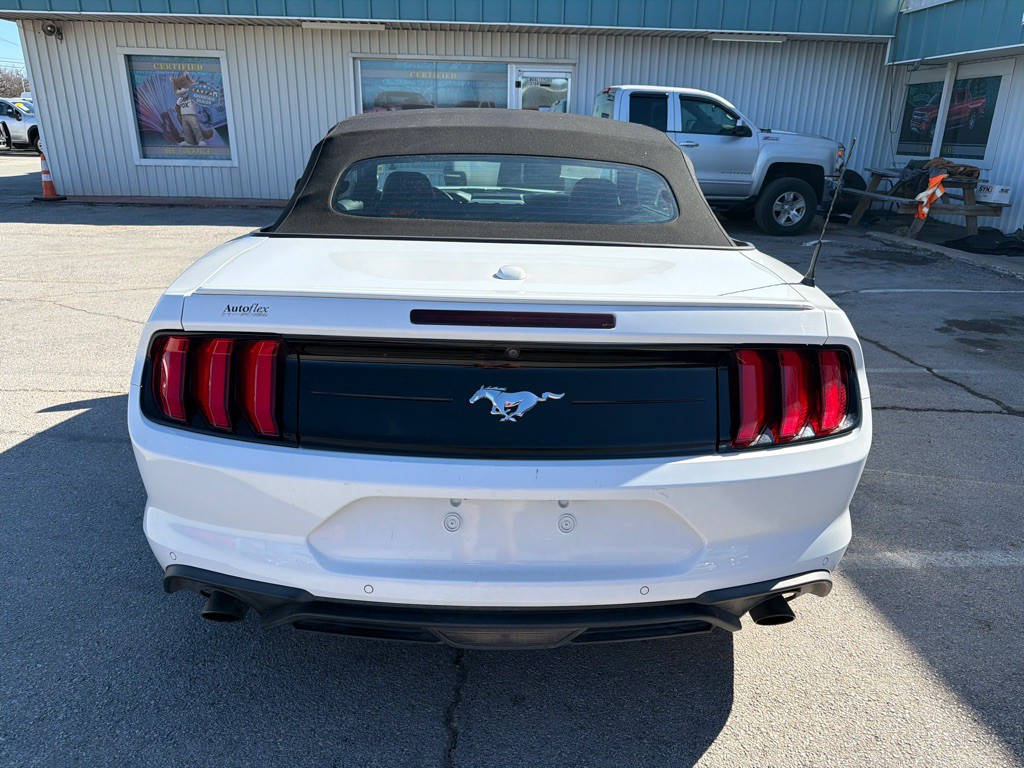 2020 Ford Mustang Image 4