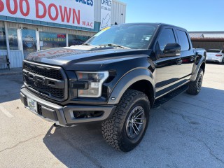 Image for 2020 Ford F-150 Raptor ID: 7214162