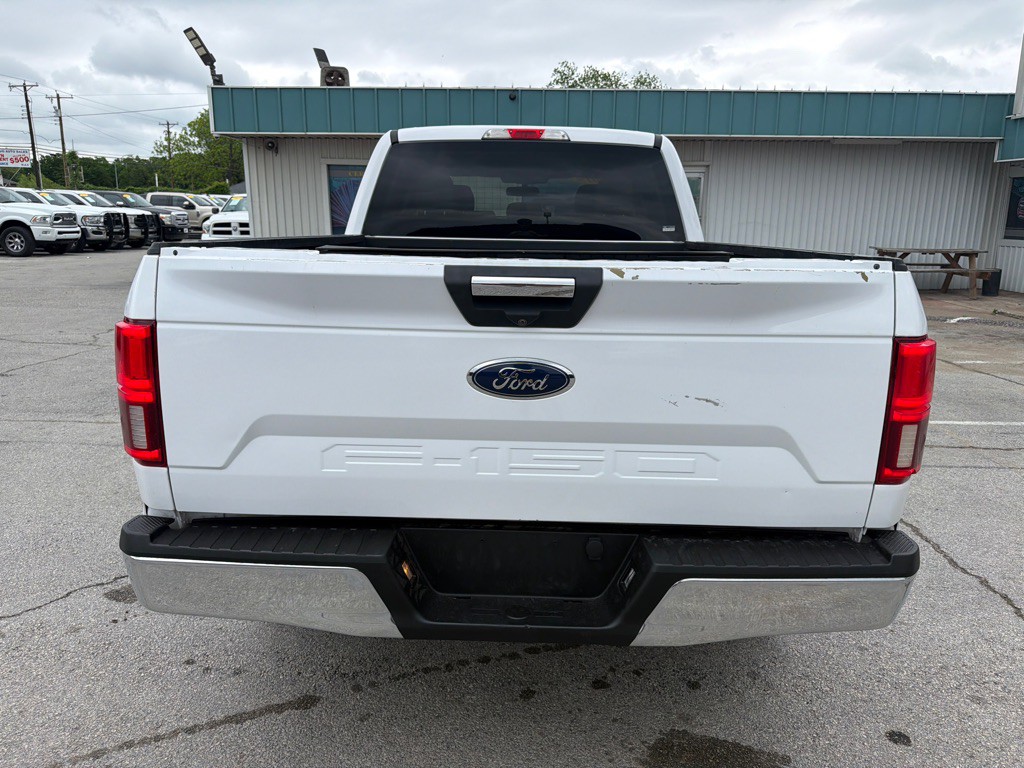 2019 Ford F-150 Image 4