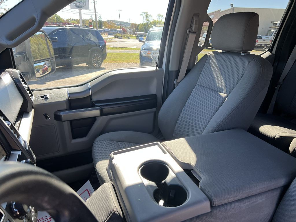 2019 Ford F-150 Image 10