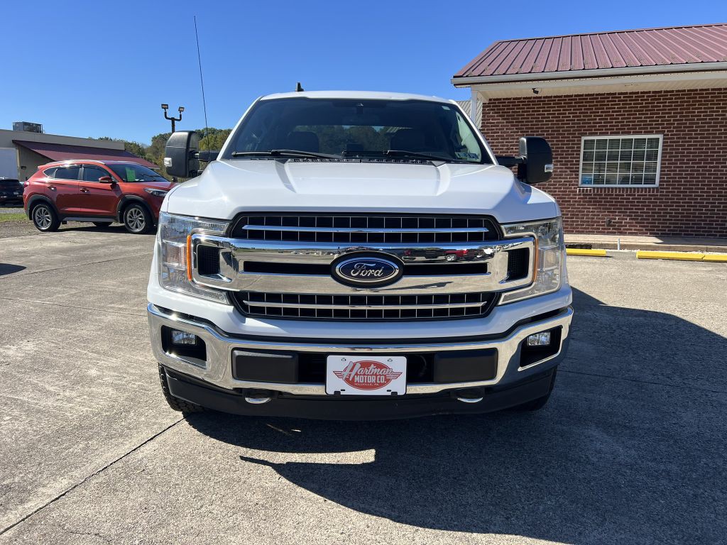 2019 Ford F-150 Image 14