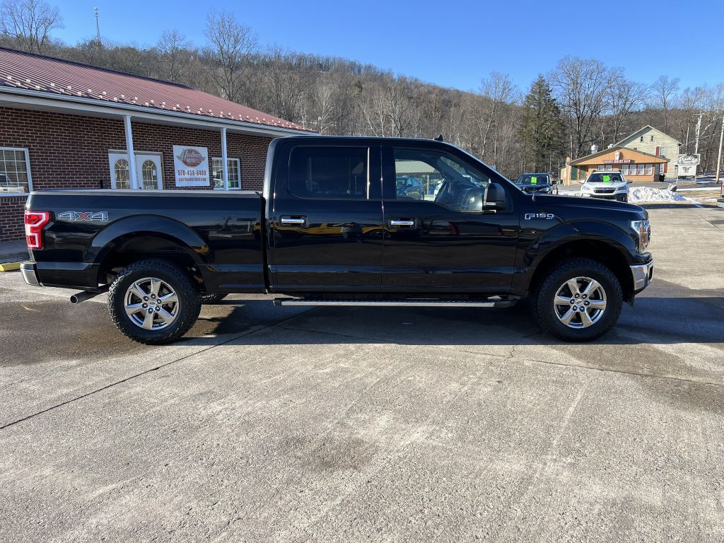 2019 Ford F-150 Image 1