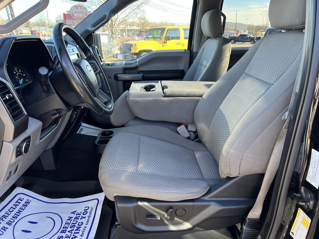 2019 Ford F-150 Image 5