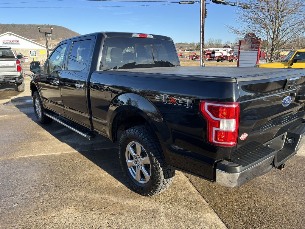 2019 Ford F-150 Image 14