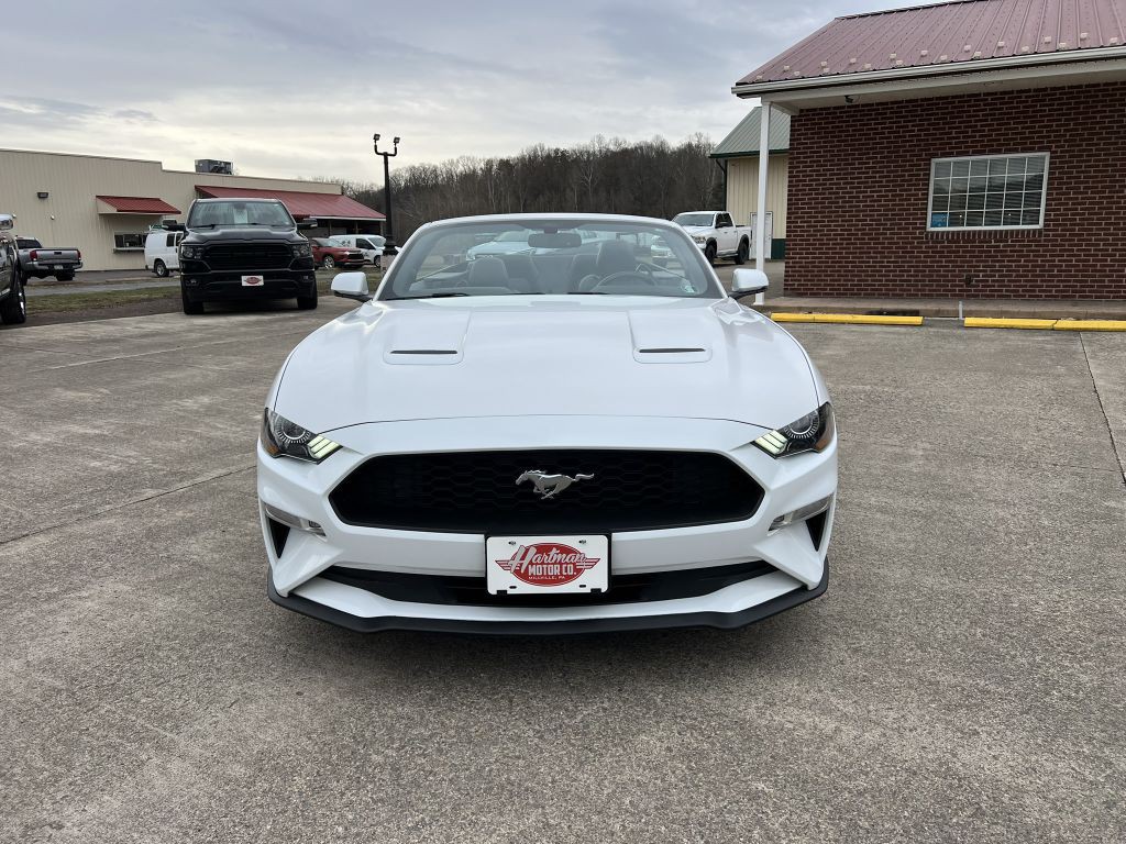 2020 Ford Mustang Image 18