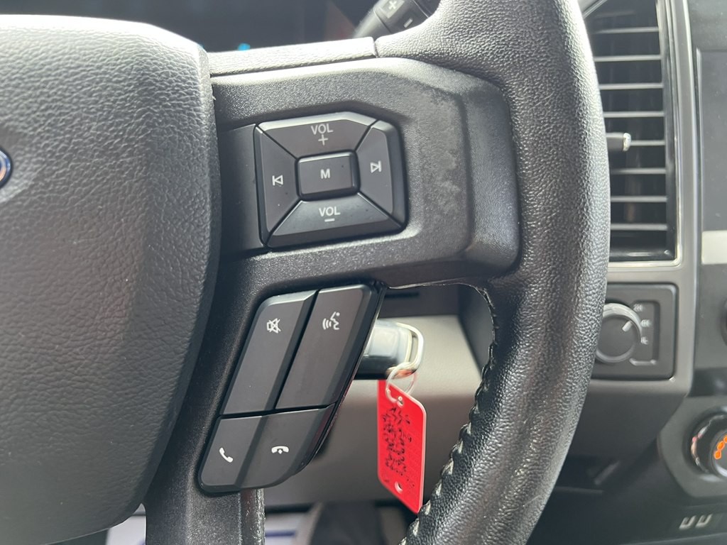 2019 Ford F-150 Image 4