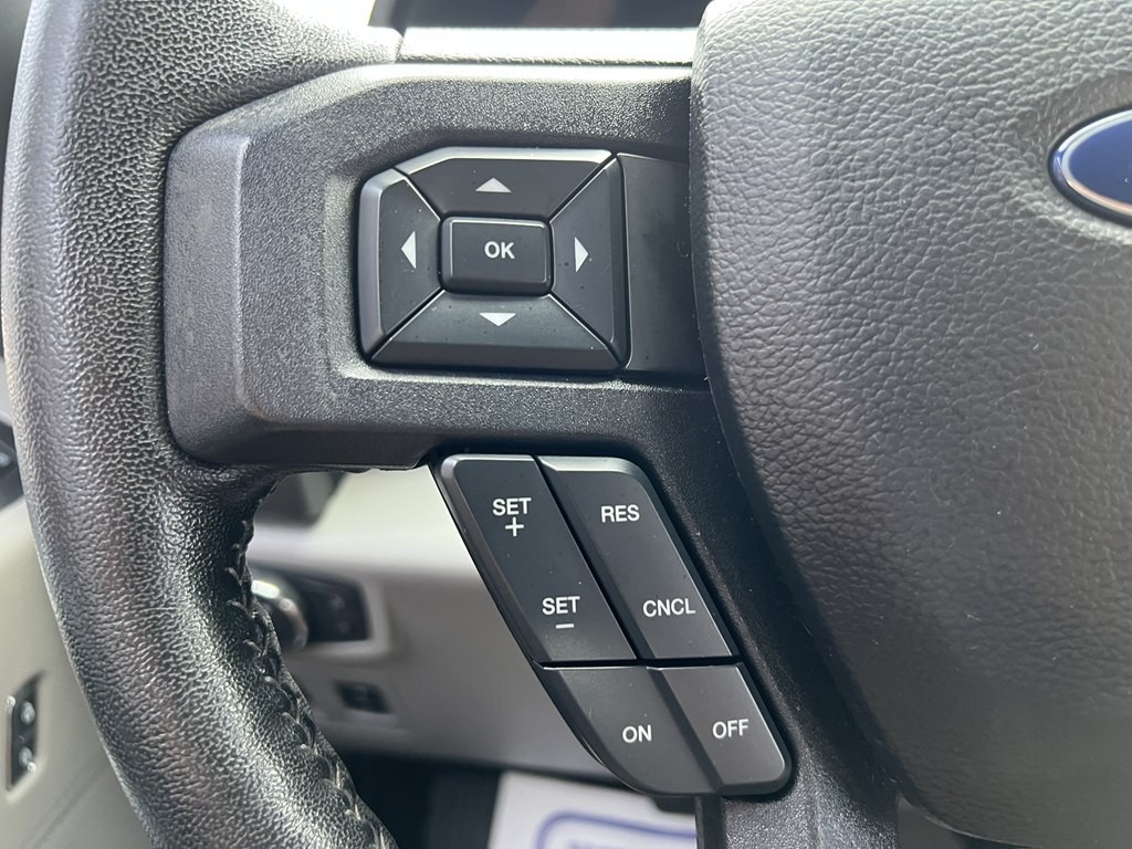 2019 Ford F-150 Image 5