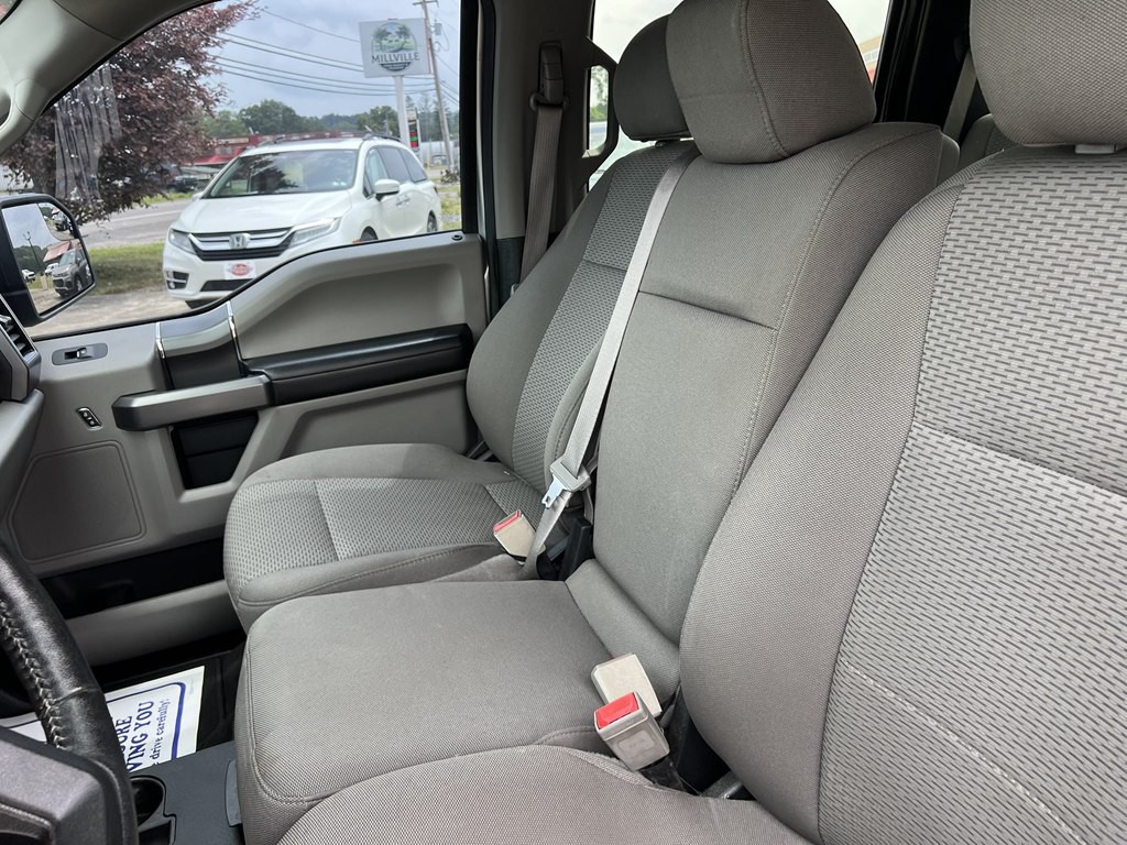 2019 Ford F-150 Image 13