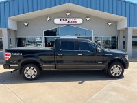 Image for 2014 Ford F-150 Platinum Crew Cab ID: 6680337