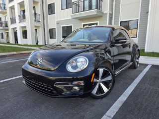 Image for 2015 Volkswagen Beetle R-line ID: 7152948