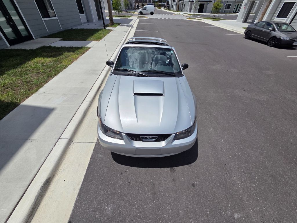 2004 Ford Mustang Image 6