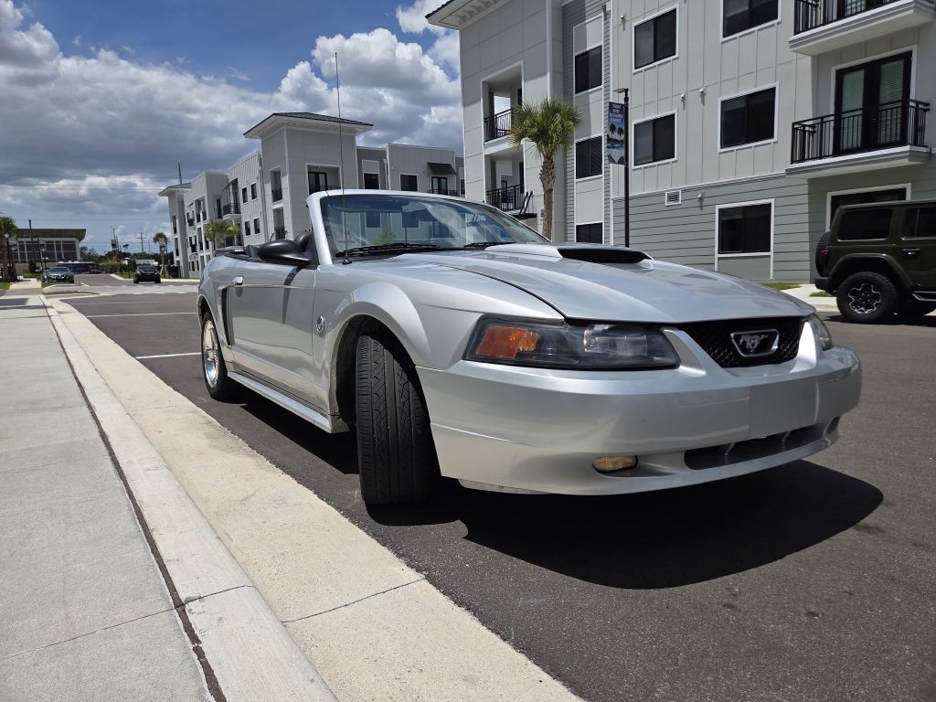 2004 Ford Mustang Image 8