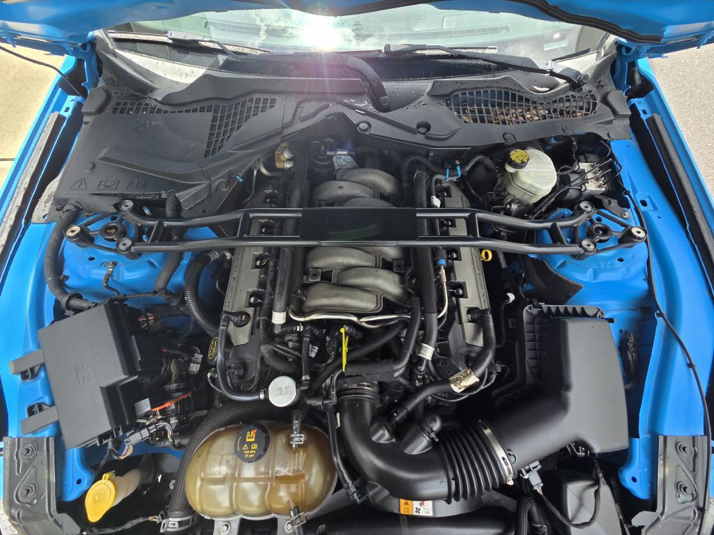 2017 Ford Mustang Image 14