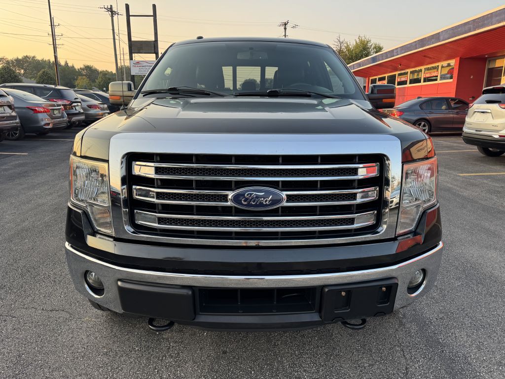 2014 Ford F-150 Image 3