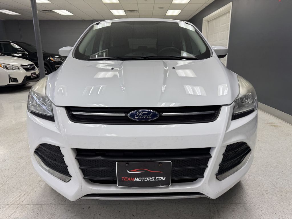 2014 Ford Escape Image 4