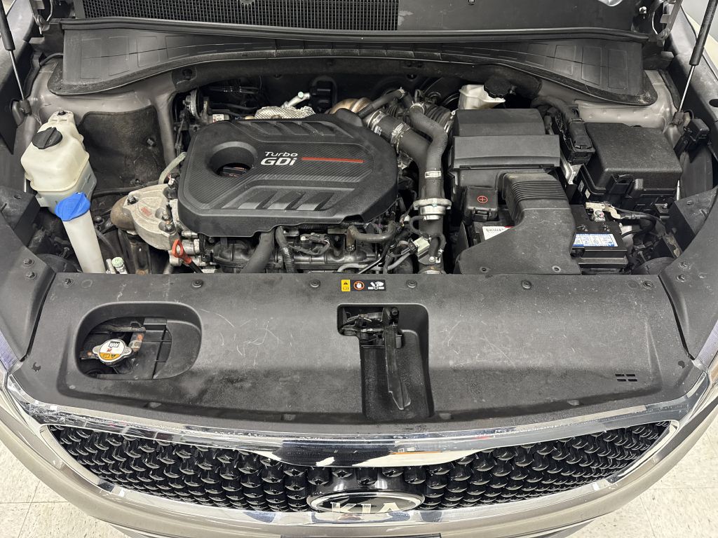 2016 Kia Sorento Image 34