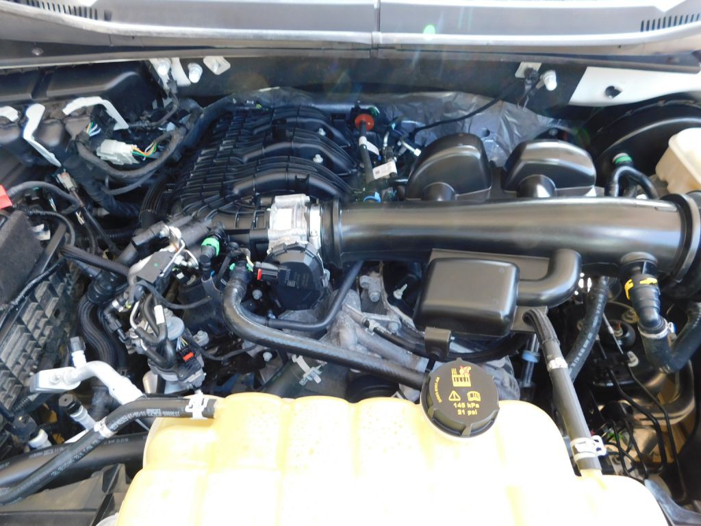 2020 Ford F-150 Image 19