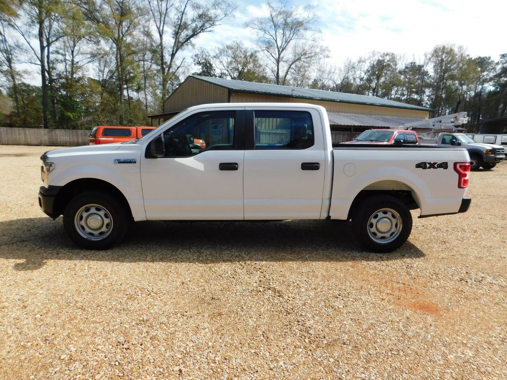 2019 Ford F-150 Image 2