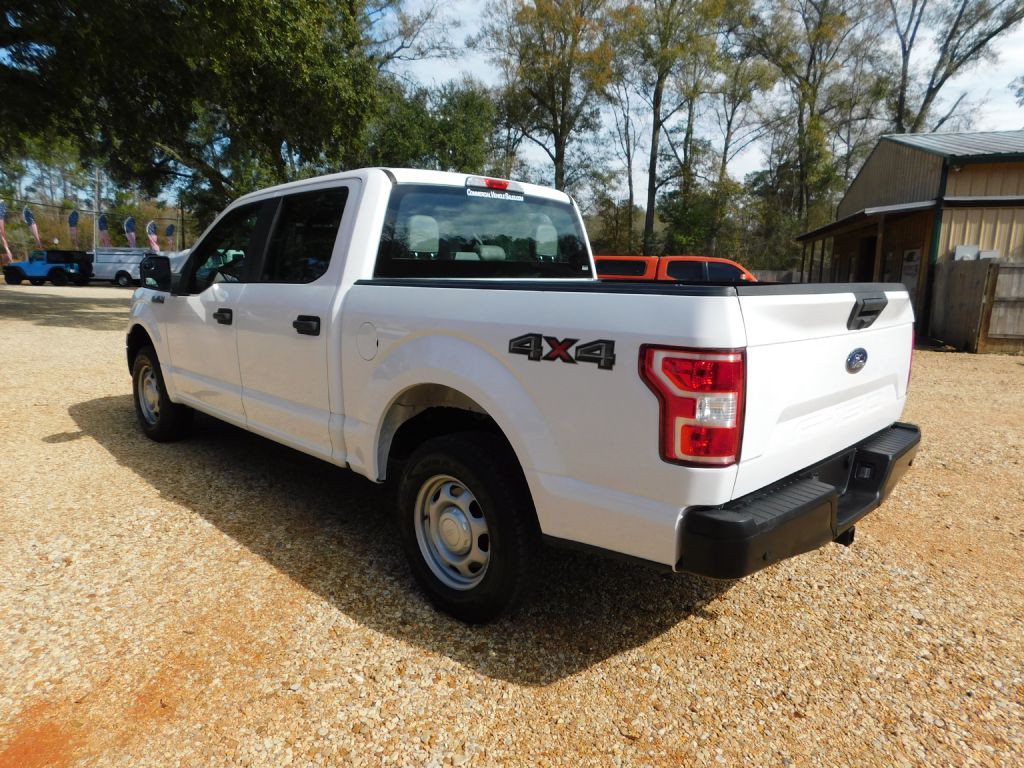 2019 Ford F-150 Image 3