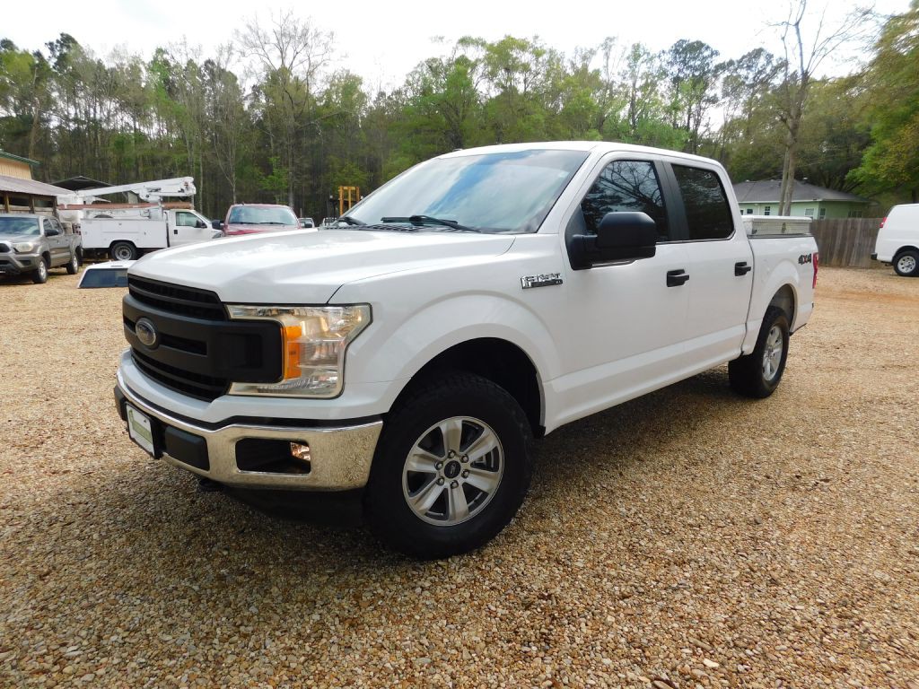 2019 Ford F-150 Image 1