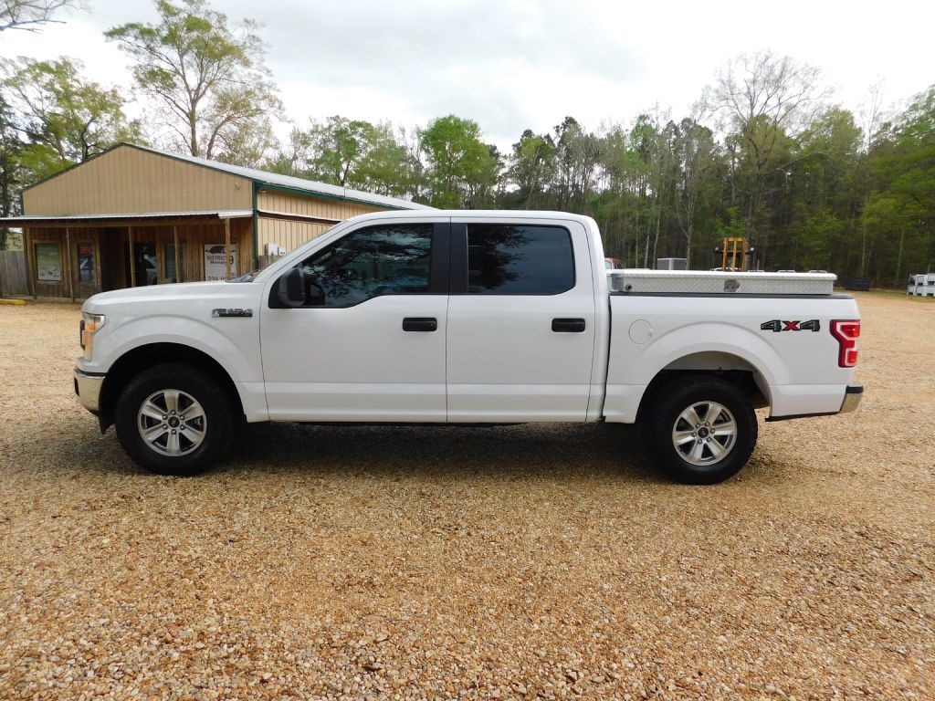 2019 Ford F-150 Image 2